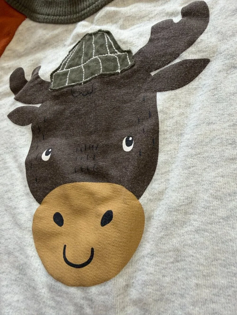 Carter's + OshKosh 2T Fall Sweatshirts Lot of 2 Moose Raglan Sage Quilted